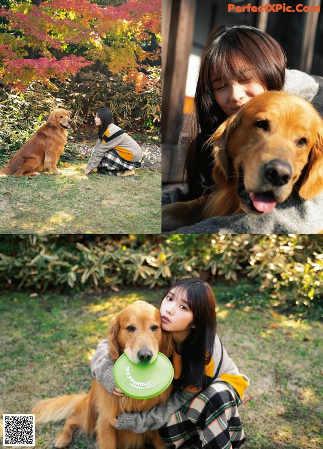 A woman sitting in the grass with a dog and a frisbee.